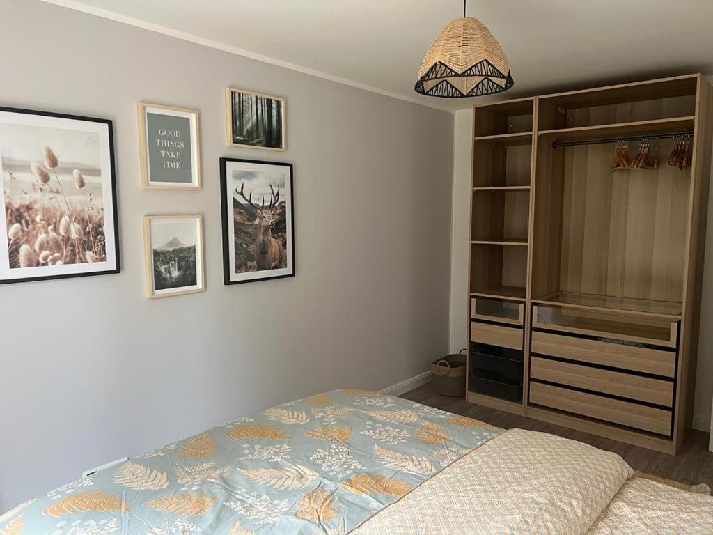 Ferienwohnung Am Rebberg 苏尔茨堡 外观 照片